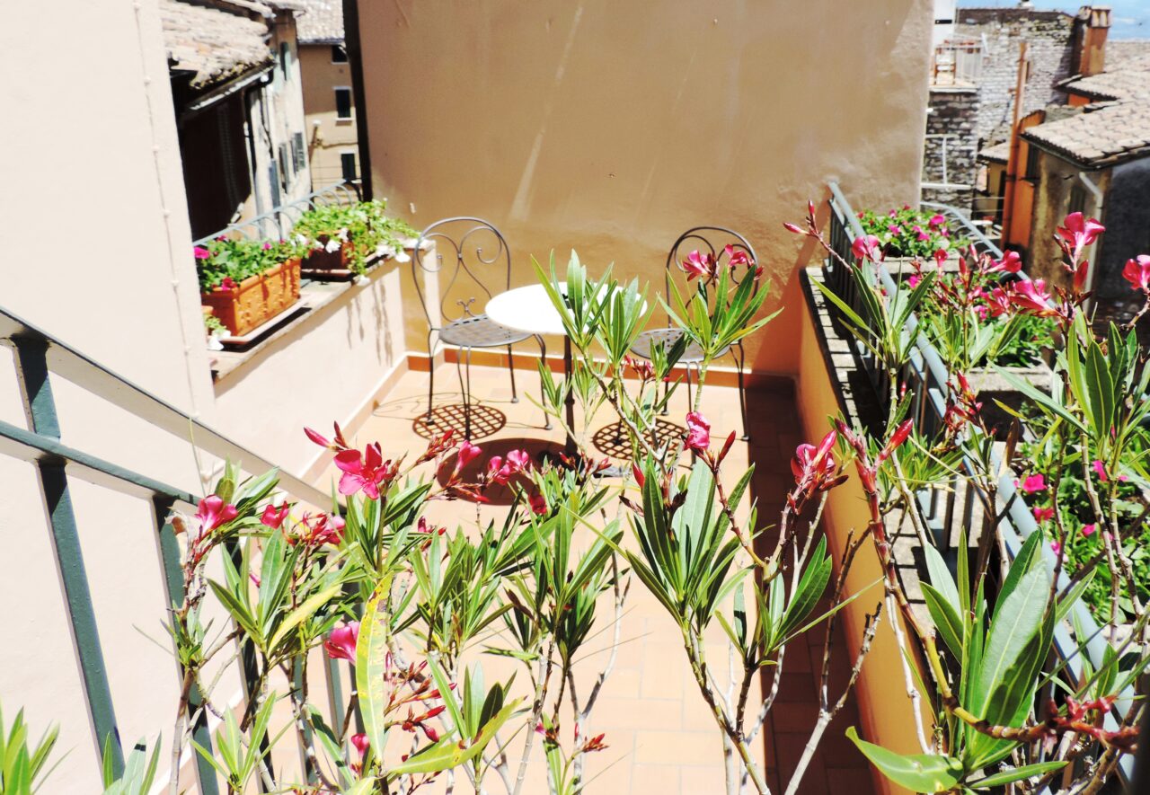 nuova Nikon 196
